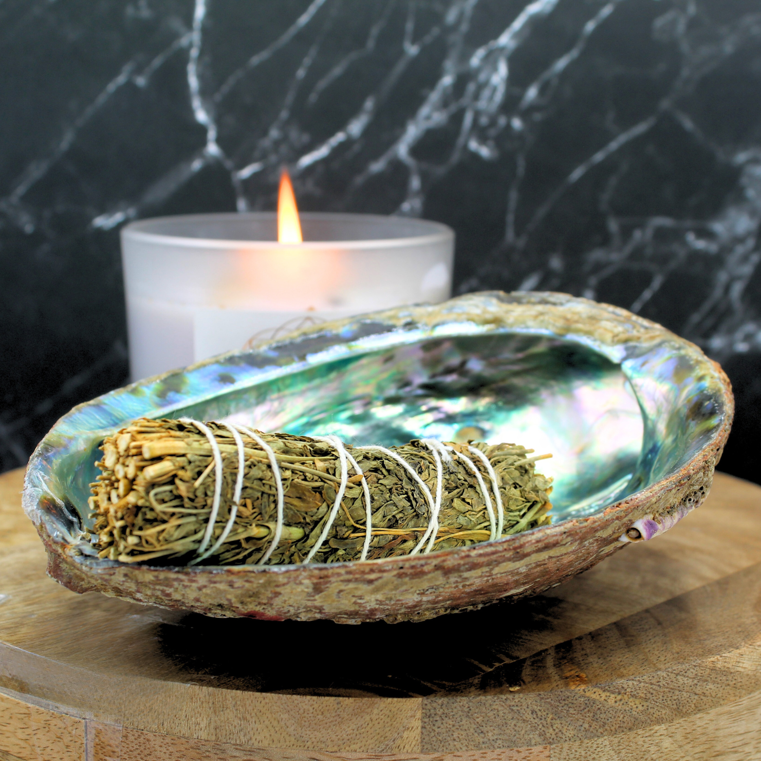 Coquille d'ormeau verte 15-17 cm