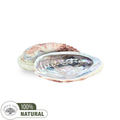 Coquille d'ormeau rose 12 à 15 cm